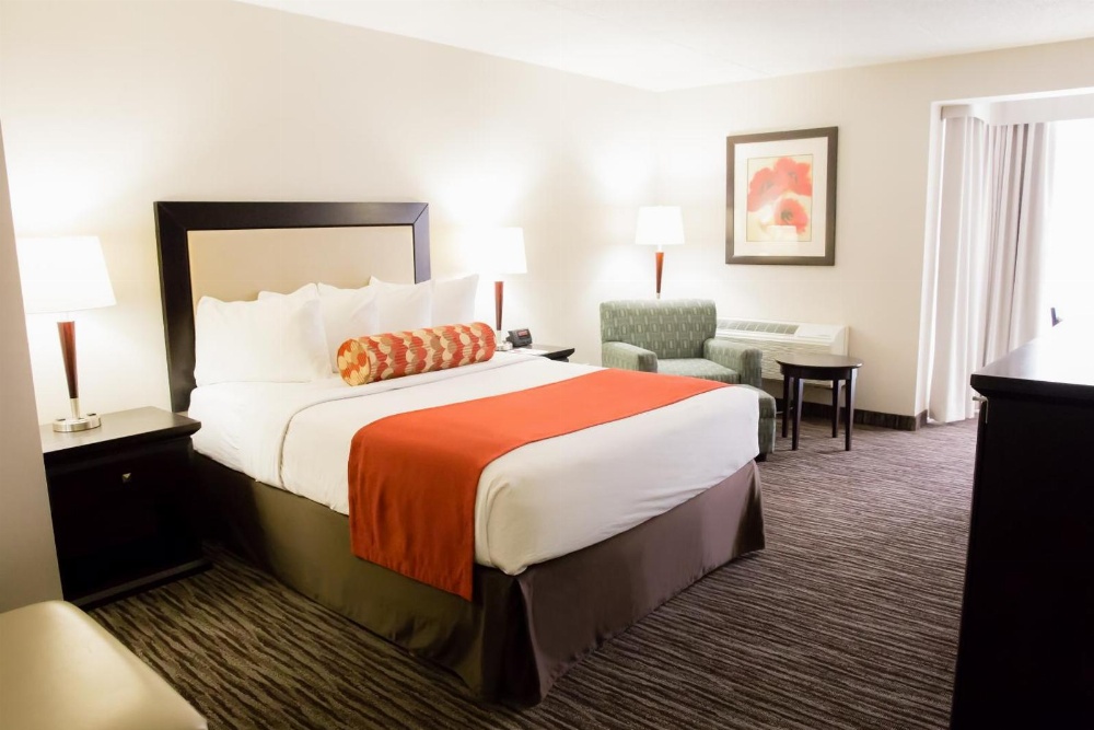 Admiral Inn Hamilton Main image